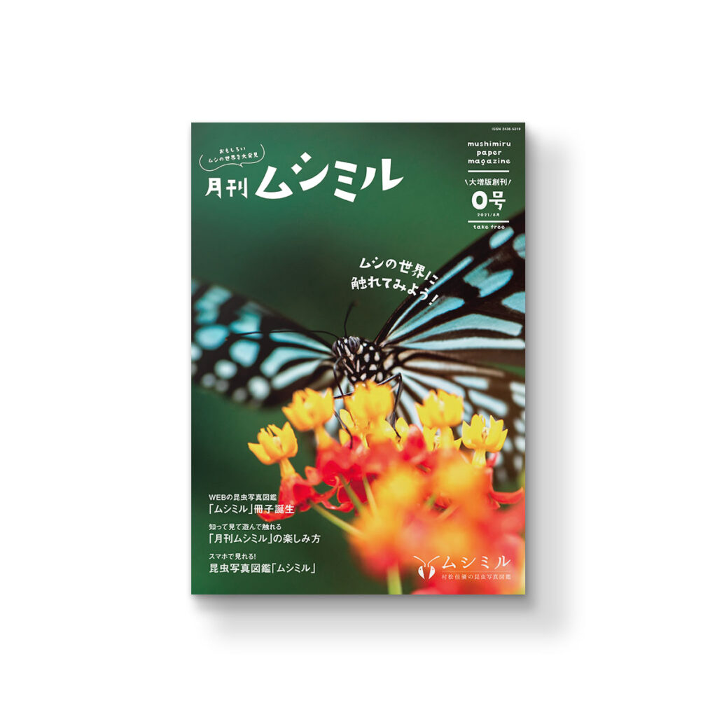 昆虫写真図鑑ムシミル「月刊ムシミル」 - TOYOSHIMA NATSUMI